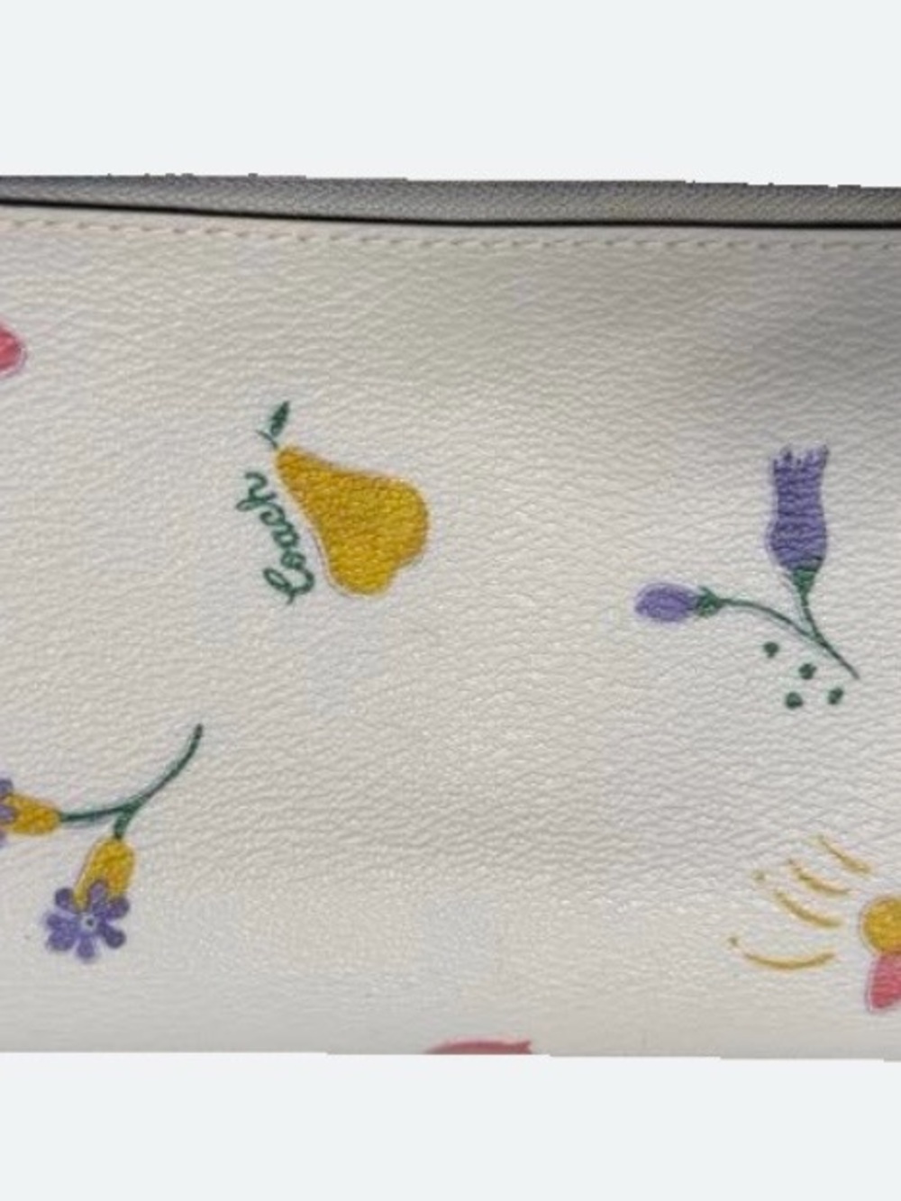 Coach Cream Floral & Fruit Cosmetic Pouch